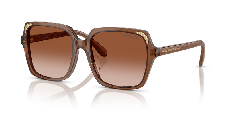 Swarovski SK6034D in Transparent Brown / Gradient Brown (106713) - Alternate View