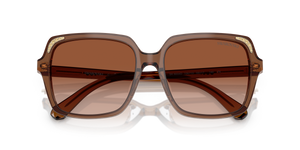 Transparent Brown / Gradient Brown (106713)