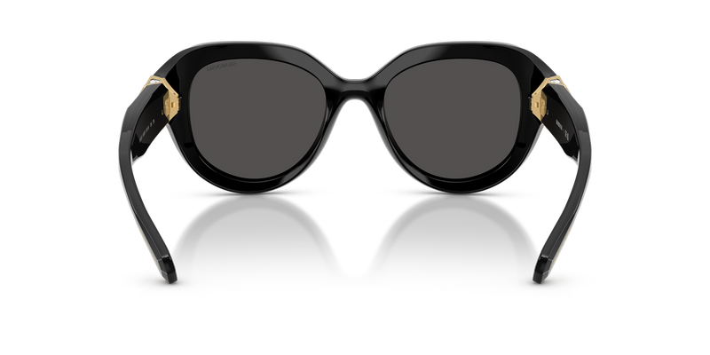 Swarovski SK6037 in Black / Dark Grey (100187) - Temple Detail