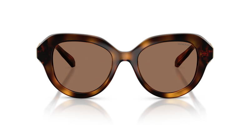 Swarovski SK6037 in Havana / Dark Brown (100273) - Alternate View