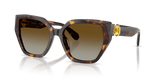 Havana / Brown Gradient Polar (1002T5)