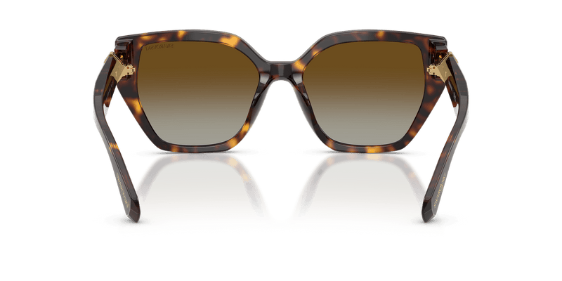 Swarovski SK6044U in Havana / Brown Gradient Polar (1002T5) - Alternate View