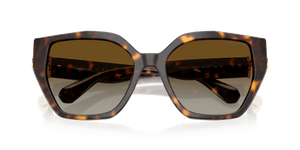 Havana / Brown Gradient Polar (1002T5)