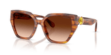 Striped Brown / Brown Gradient (109174)