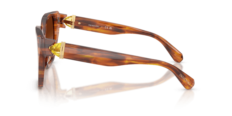 Swarovski SK6044U in Striped Brown / Brown Gradient (109174) - Alternate View