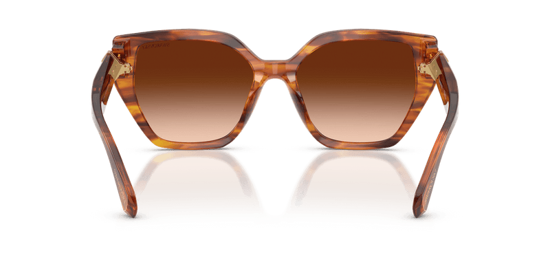 Swarovski SK6044U in Striped Brown / Brown Gradient (109174) - Alternate View