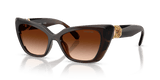Transparent Brown / Brown Gradient (108474)