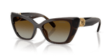 Transparent Brown / Polar Brown Gradient (1084T5)