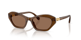 Transparent Brown / Dark Brown (108473)