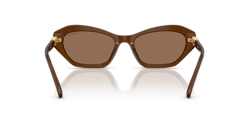 Swarovski SK6048F in Transparent Brown / Dark Brown (108473) - Alternate View