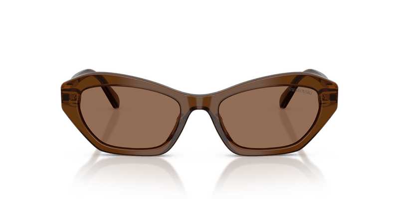 Swarovski SK6048F in Transparent Brown / Dark Brown (108473) - Alternate View