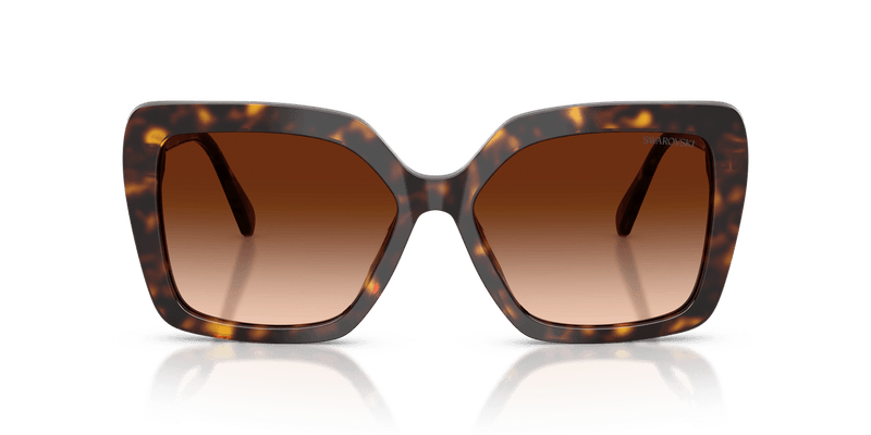 Swarovski SK6049F in Havana / Brown Gradient (100274) - Alternate View
