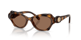 Havana / Dark Brown (100273)