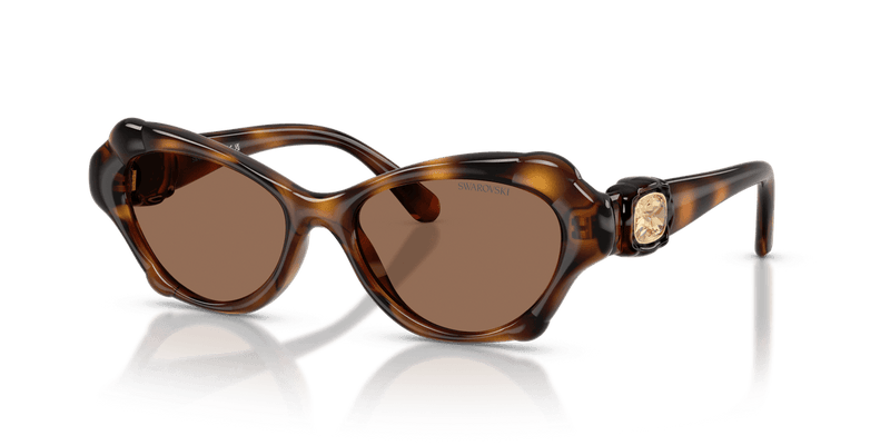 Swarovski SK6050 in Havana / Dark Brown (100273) - Front View
