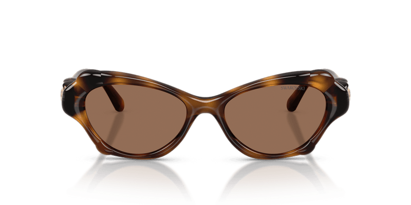 Swarovski SK6050 in Havana / Dark Brown (100273) - Back View