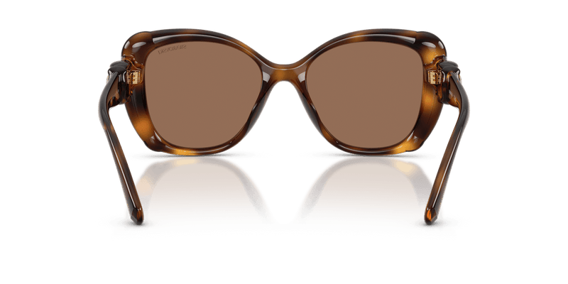 Swarovski SK6051U in Havana / Dark Brown (100273) - Alternate View