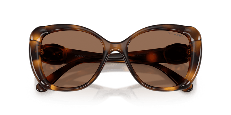 Swarovski SK6051U in Havana / Dark Brown (100273) - Side View