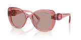Transparent Pink / Light Purple Brown (30017N)