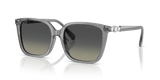 Transparent Grey / Gradient Grey (106211)