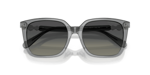 Transparent Grey / Gradient Grey (106211)
