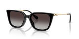 Black / Gradient Grey (10018G)