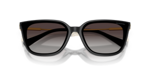 Black / Gradient Grey (10018G)