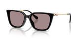 Black / Violet (1001LA)