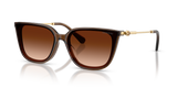 Transparent Brown / Gradient Brown (108474)