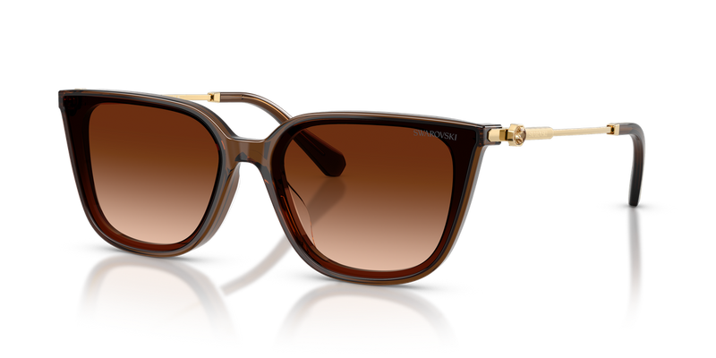 Swarovski SK6054D in Transparent Brown / Gradient Brown (108474) - Alternate View