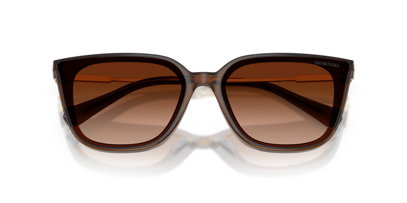 Swarovski SK6054D in Transparent Brown / Gradient Brown (108474) - Alternate View