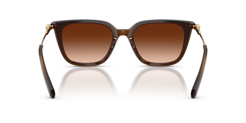 Swarovski SK6054D in Transparent Brown / Gradient Brown (108474) - Alternate View