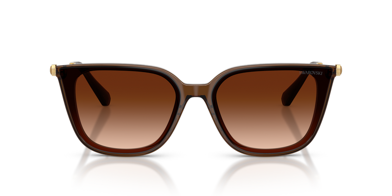 Swarovski SK6054D in Transparent Brown / Gradient Brown (108474) - Alternate View