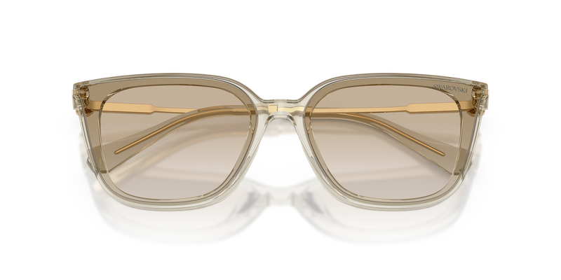 Swarovski SK6054D in Transparent Beige / Gradient Light Grey (300311) - Alternate View