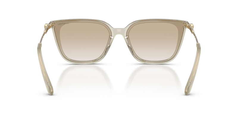 Swarovski SK6054D in Transparent Beige / Gradient Light Grey (300311) - Alternate View