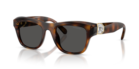 Swarovski SK6056U - Havana / Dark Grey (100287)