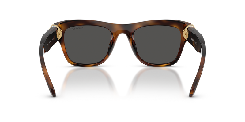 Swarovski SK6056U in Havana / Dark Grey (100287) - Temple Detail