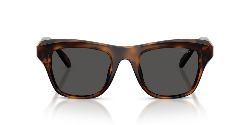 Swarovski SK6056U in Havana / Dark Grey (100287) - Alternate View