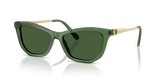 Transparent Green / Dark Green (108571)