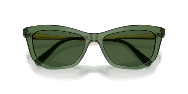 Swarovski SK6057 in Transparent Green / Dark Green (108571) - Alternate View
