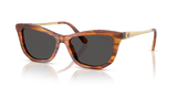 Striped Havana / Dark Grey (109187)