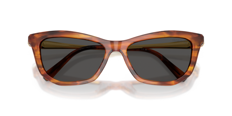 Swarovski SK6057 in Striped Havana / Dark Grey (109187) - Alternate View