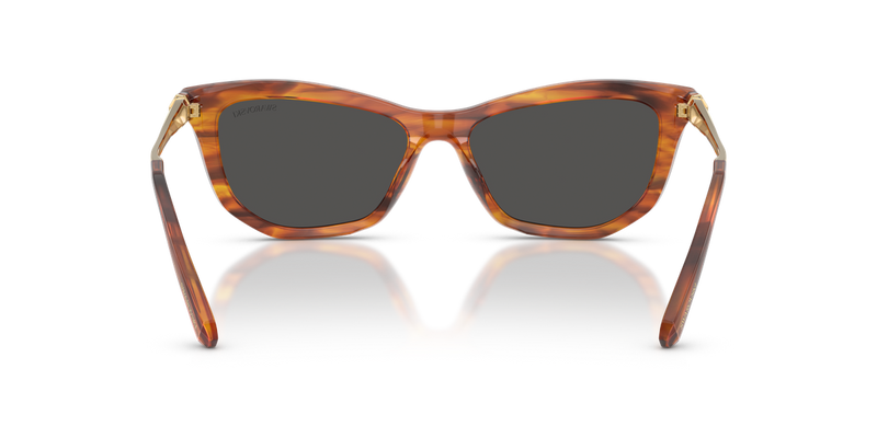 Swarovski SK6057 in Striped Havana / Dark Grey (109187) - Alternate View