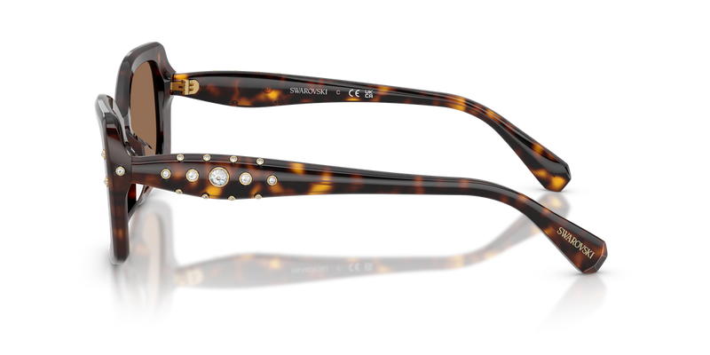 Swarovski SK6058U in Havana / Dark Brown (100273) - Alternate View