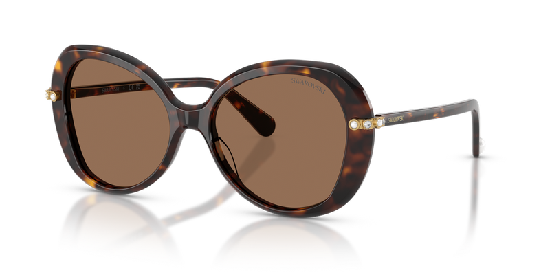Swarovski SK6059F in Havana - Front View