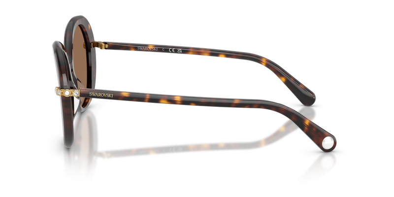 Swarovski SK6059F in Havana - Back View