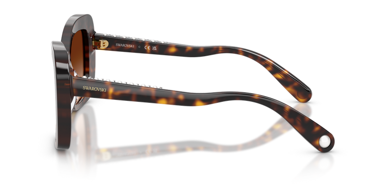 Swarovski SK6062U in Havana / Gradient Brown (100274) - Alternate View