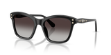 Black / Gradient Grey (10018G)