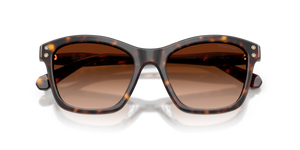 Havana / Gradient Brown (100274)