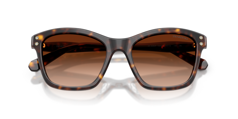 Swarovski SK6063F in Havana / Gradient Brown (100274) - Alternate View