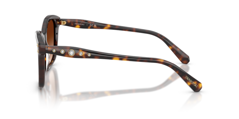 Swarovski SK6063 in Havana / Gradient Brown (100274) - Alternate View